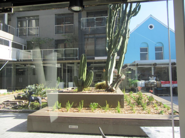 To Let commercial Property for Rent in De Waterkant Western Cape